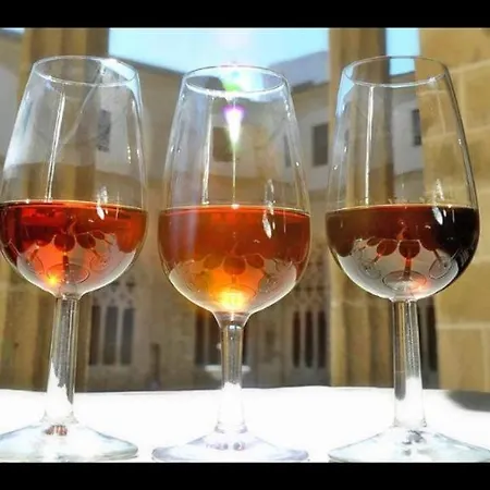 Centro Ciudad Apartment *