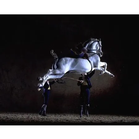 Centro Ciudad Apartment Jerez de la Frontera