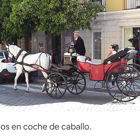 Centro Ciudad Apartamento Jerez de la Frontera