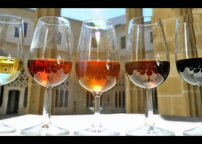 Centro Ciudad Apartman *