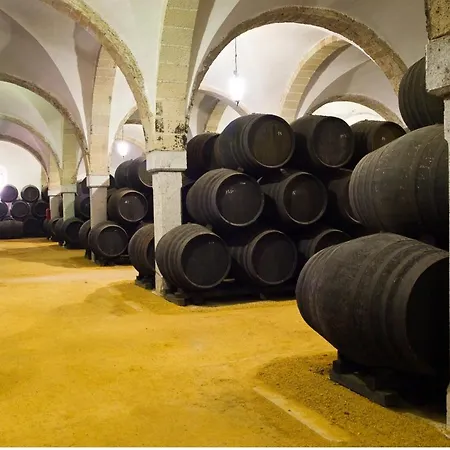 Centro Ciudad Daire Jerez de la Frontera