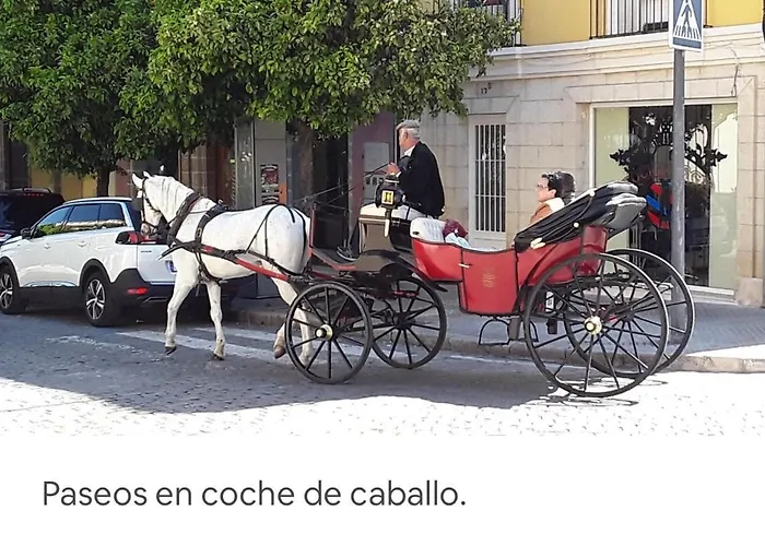 Centro Ciudad Lejlighed Jerez de la Frontera