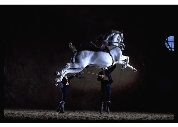 Centro Ciudad Lejlighed Jerez de la Frontera